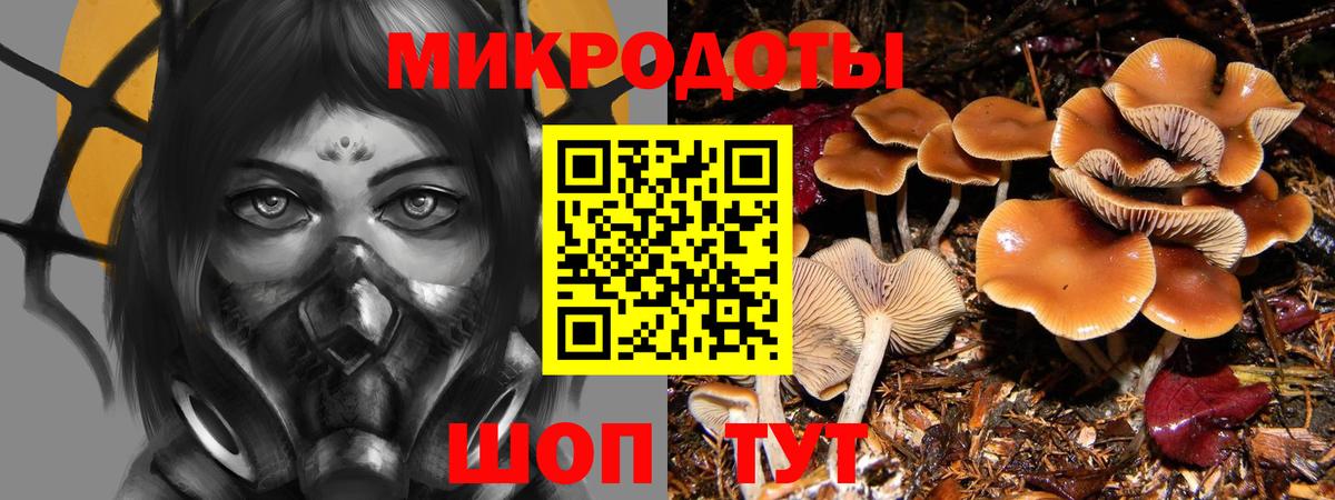 Галлюциногенные грибы Magic Shrooms  Вход с VPN  Киреевск 